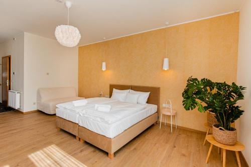 Double Room - Disability Access