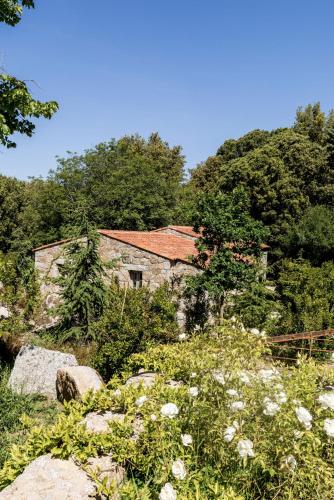Superior Villa
