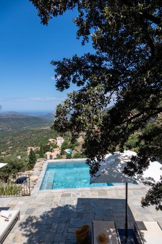 King Suite with Pool View
