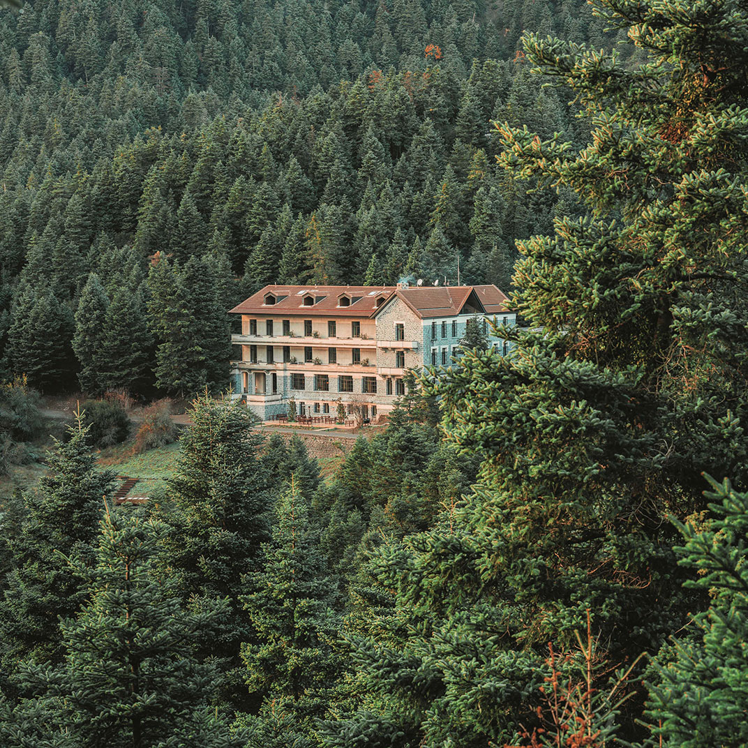 MANNA Arcadia
