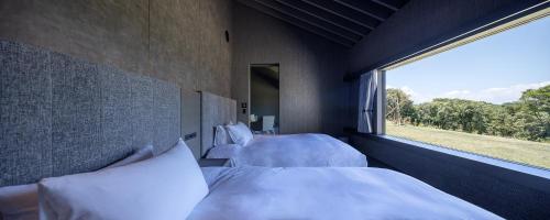 Suite with Terrace
