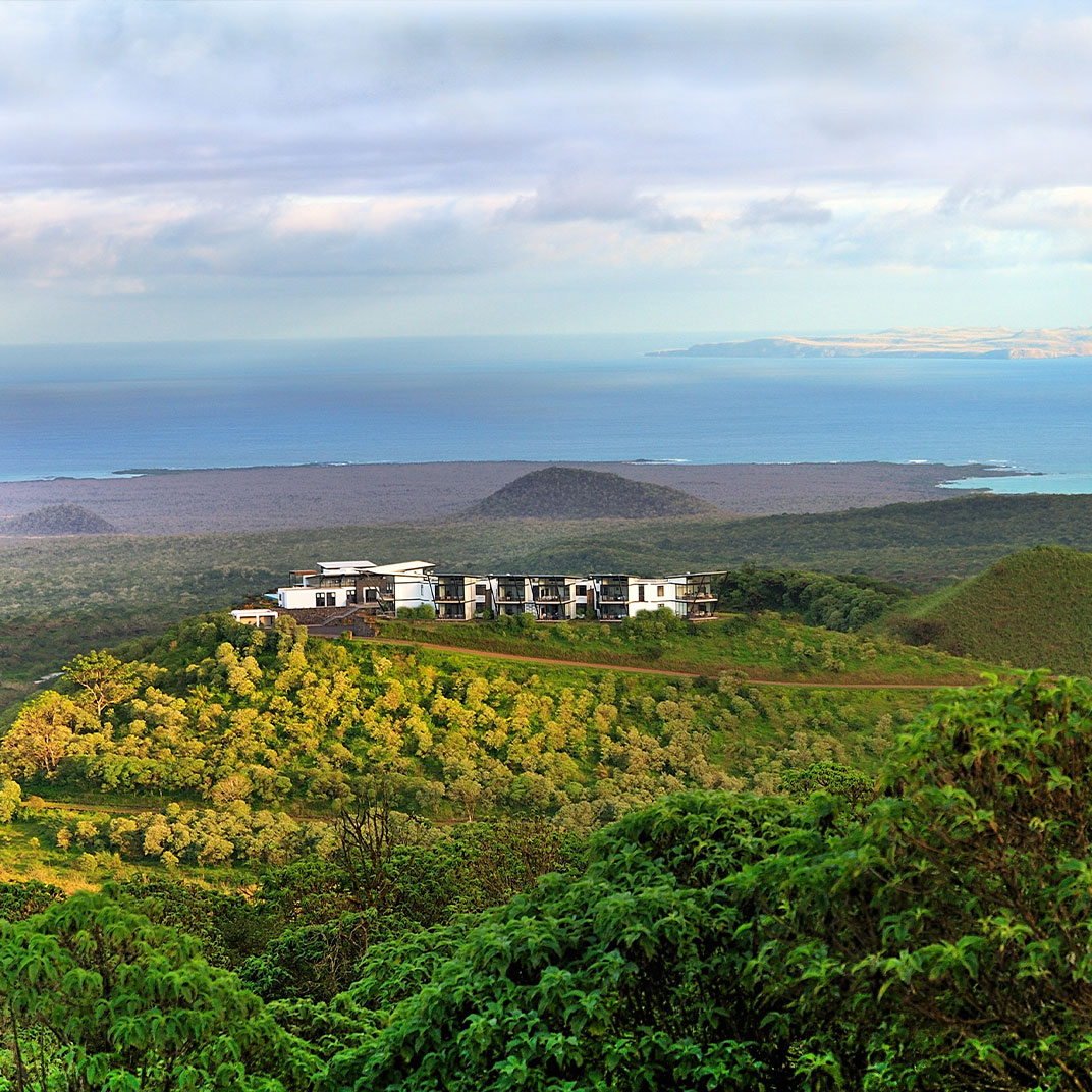 Pikaia Lodge