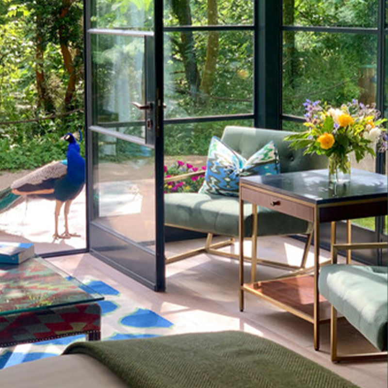 Pond Suite