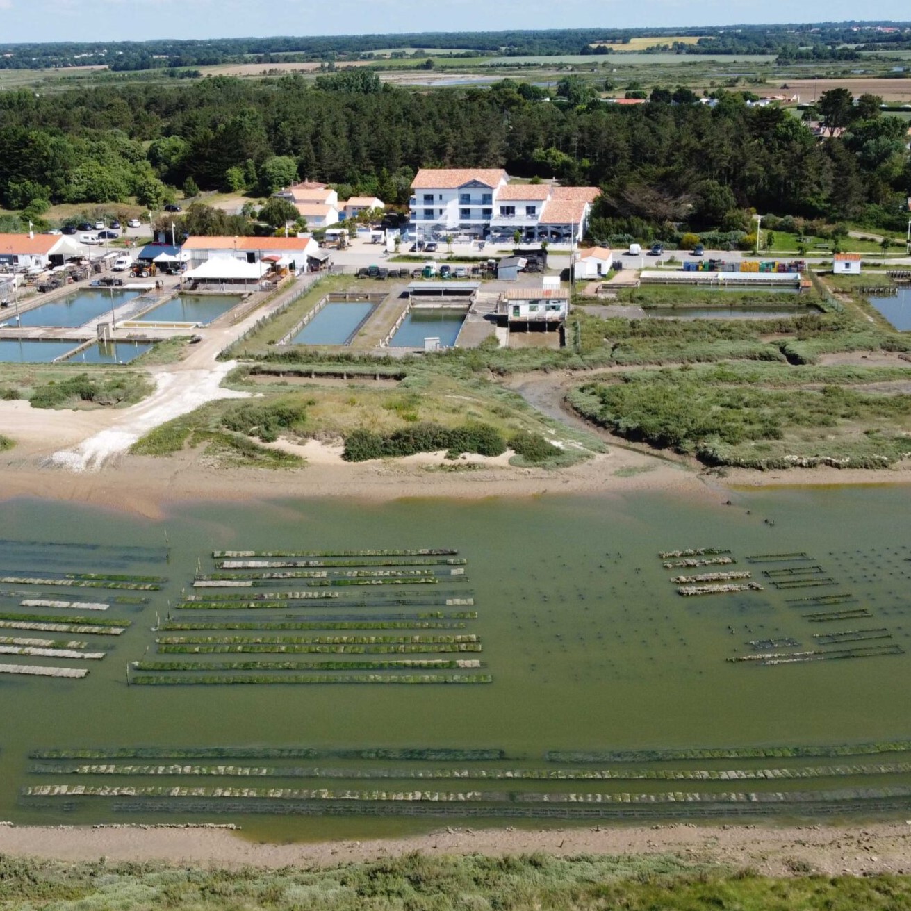 Domaine Les Clayères
