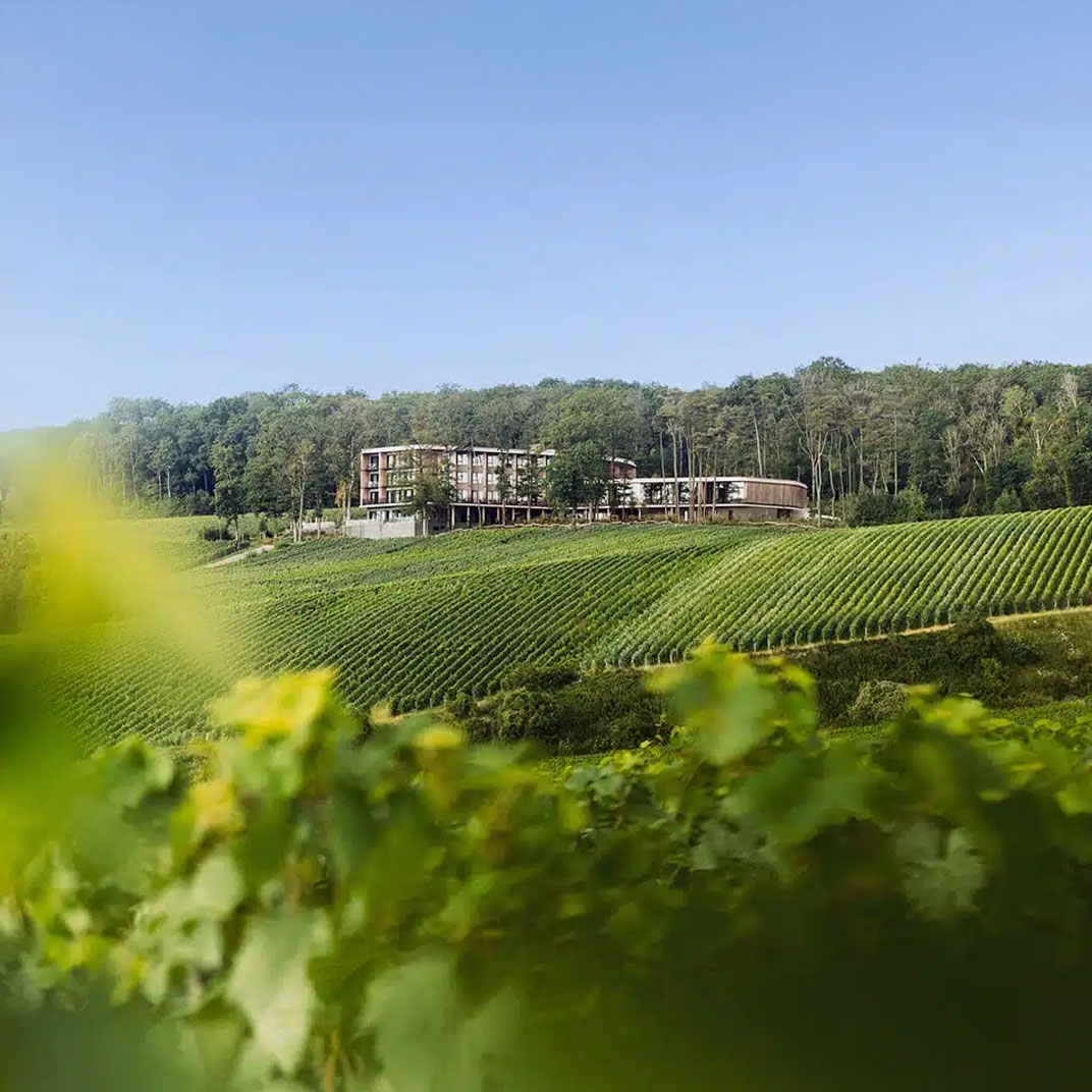 LOISIUM Wine & Spa Hotel Champagne