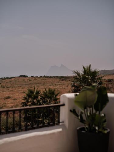 Roof Terrace