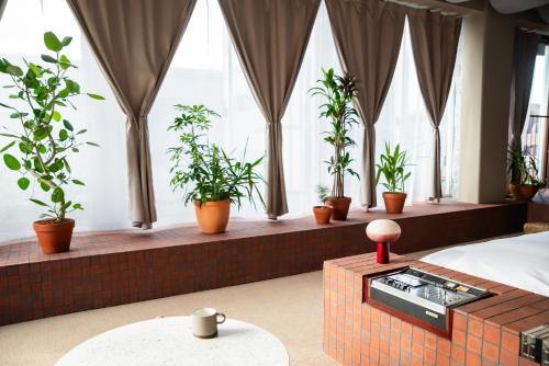 King Suite