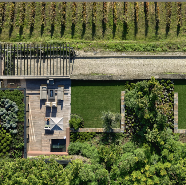 Vineyard Garden Suite