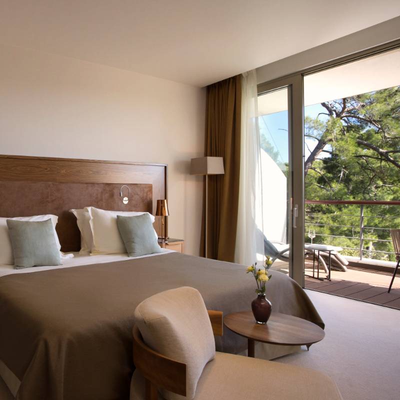 Premium Room, Park View