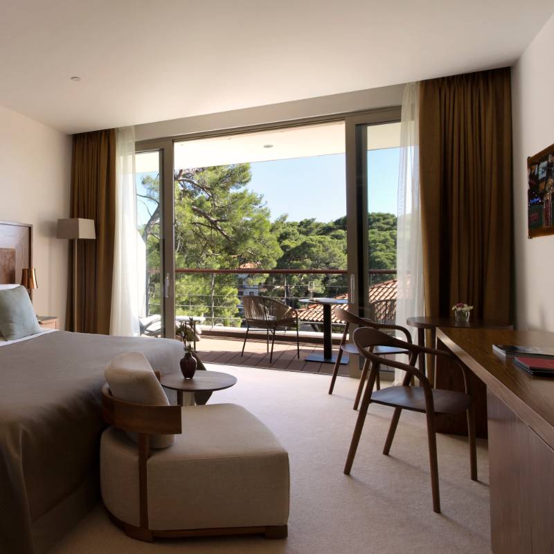 Premium Room, Park View