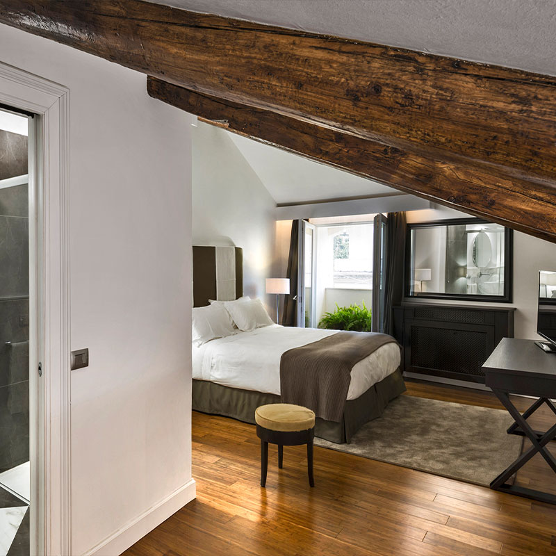 Luxury Room
