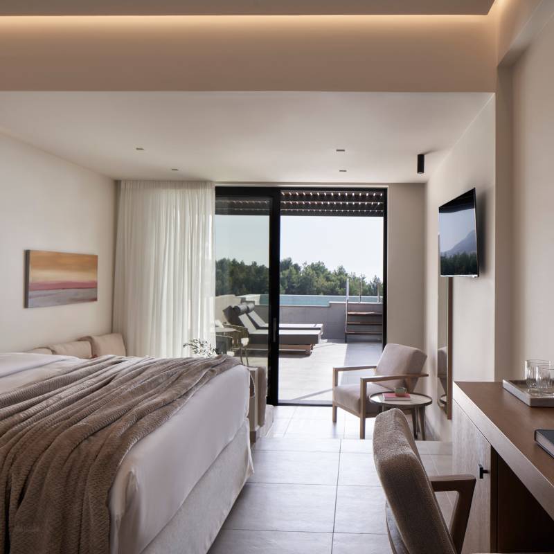 Junior Suite Forest View, Plunge Pool