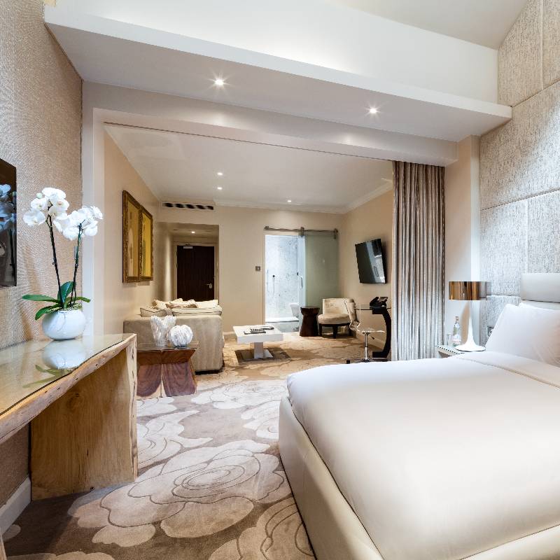 Studio Suite