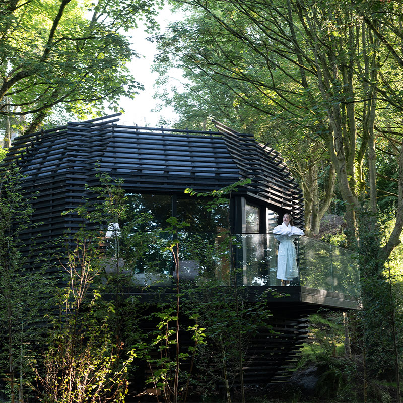 Woodland Suite