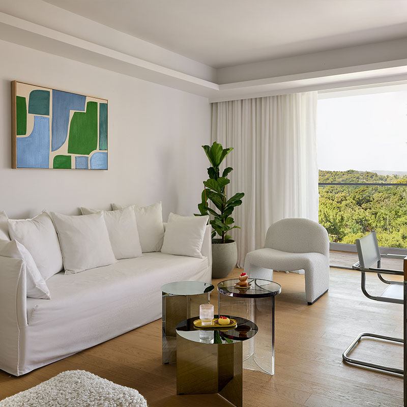 Deluxe Family Apartment