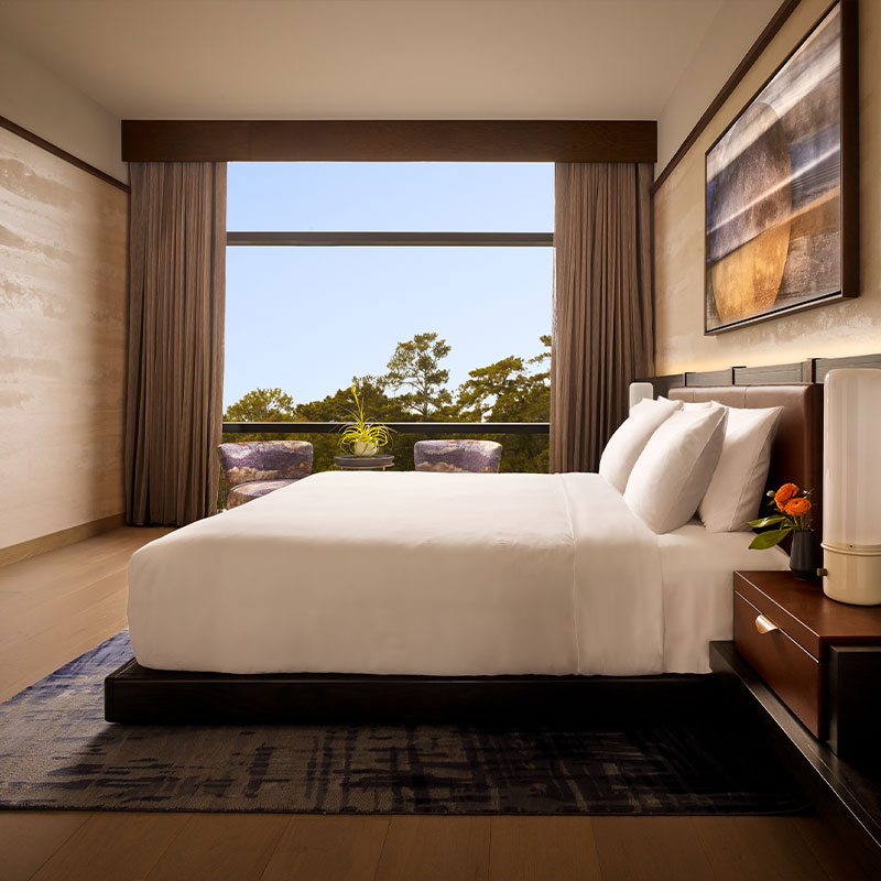 Momiji Suite