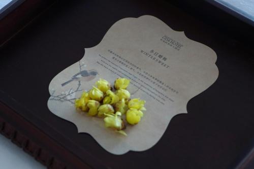 Collector Suite