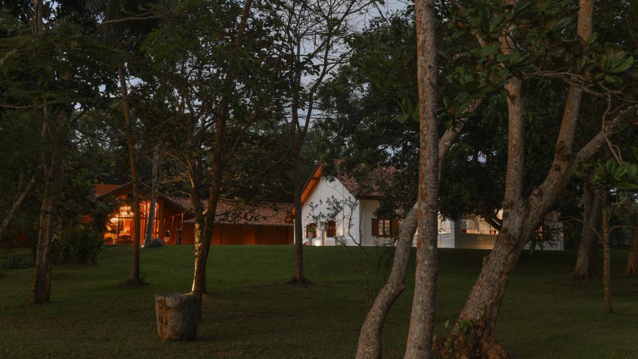 Maya Tangalle
