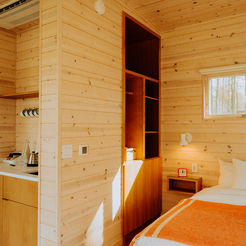 Forest Cabin