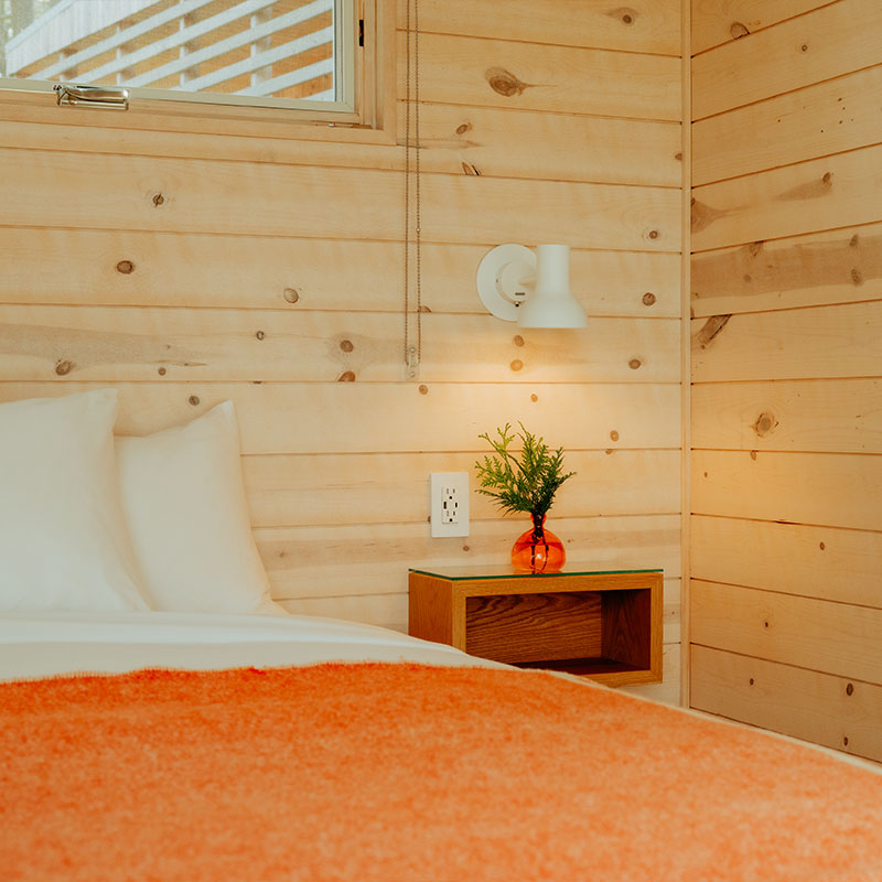 Forest Cabin