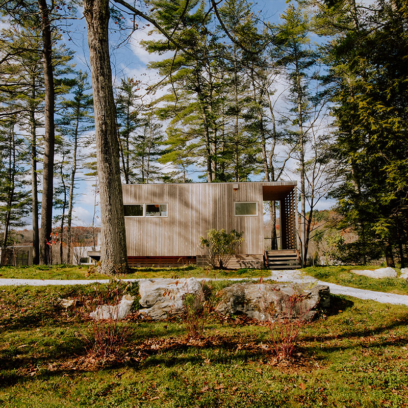 Forest Cabin