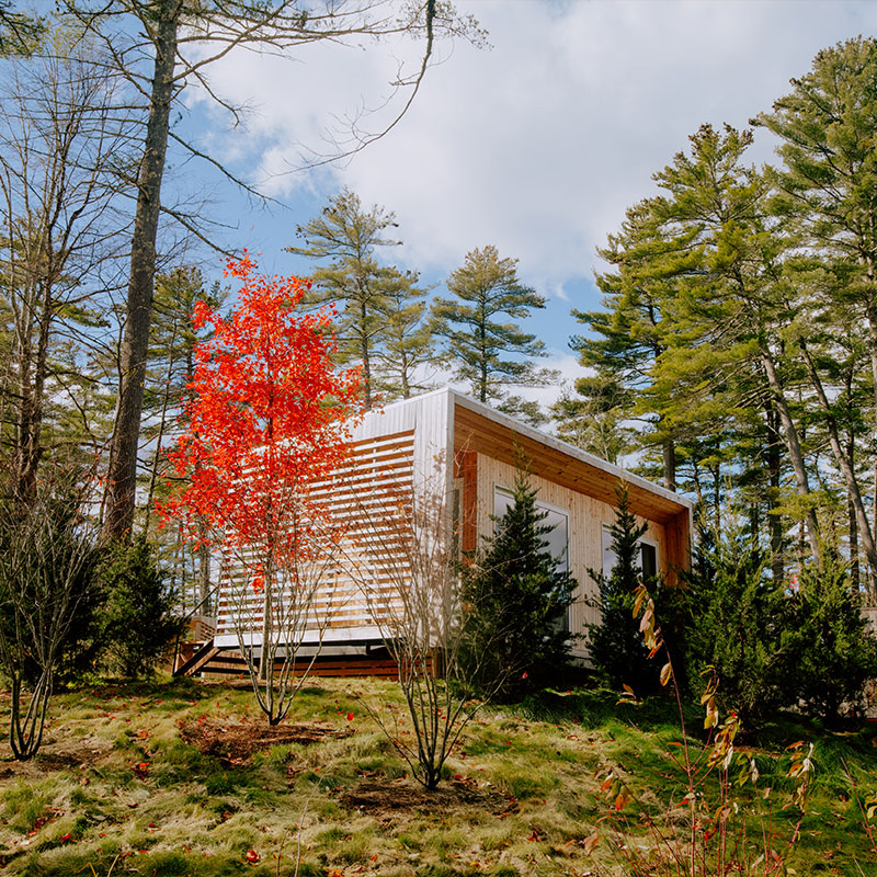 Hillside Cabin