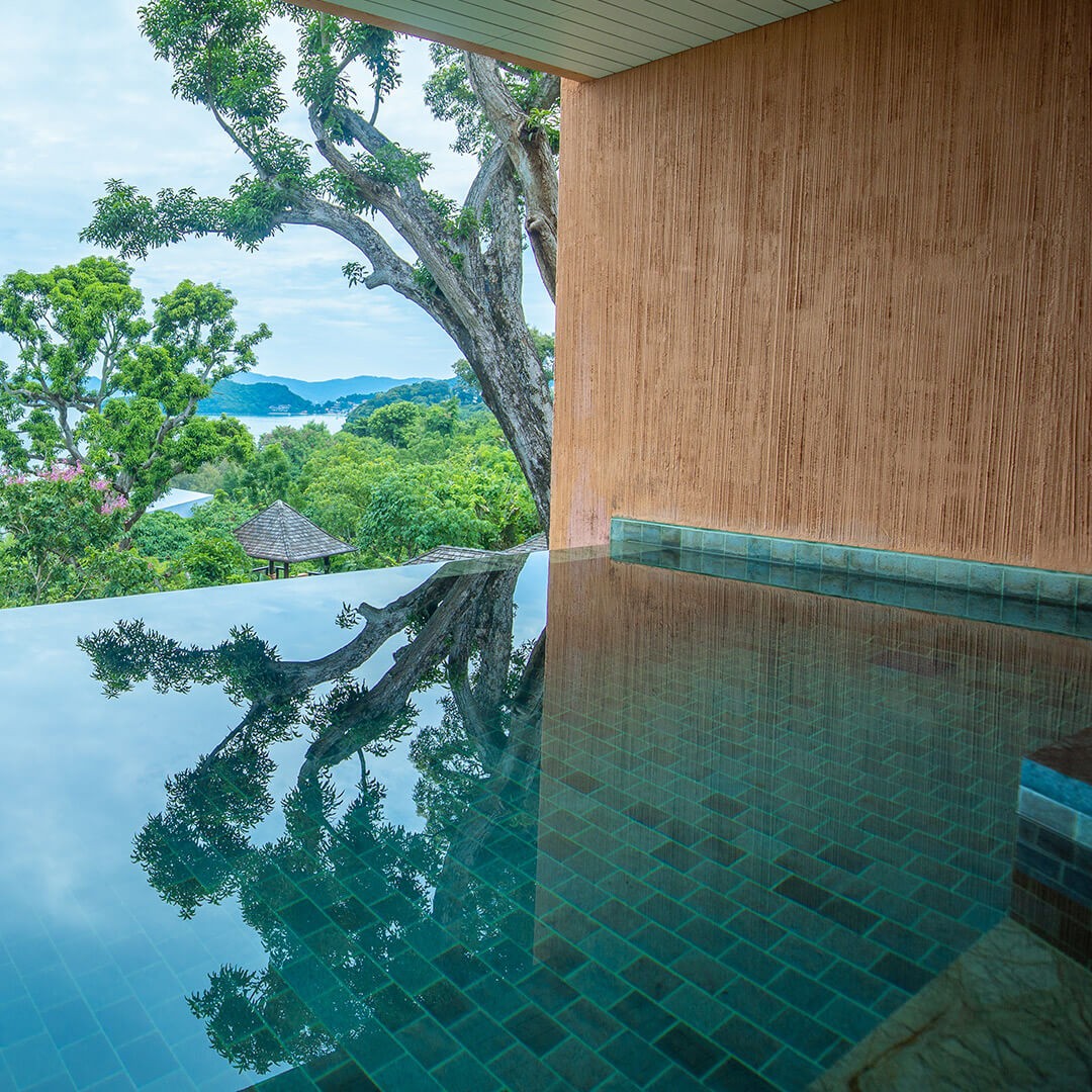 Wellness Pool Suite
