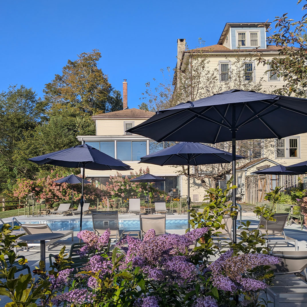 The DeBruce