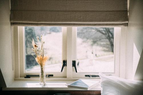 Lodge – Cozy