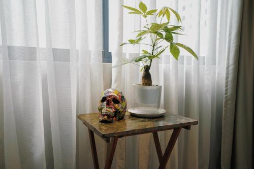 The Artist Room: No Television, Just Life!
