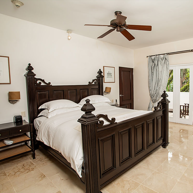 Suite- Tropical View