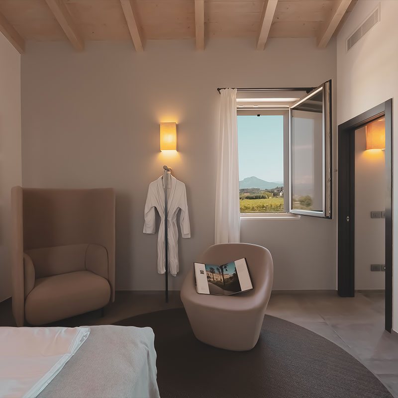 Junior Suite with Vineyard View