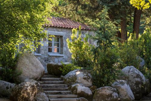 Villa with Terrace