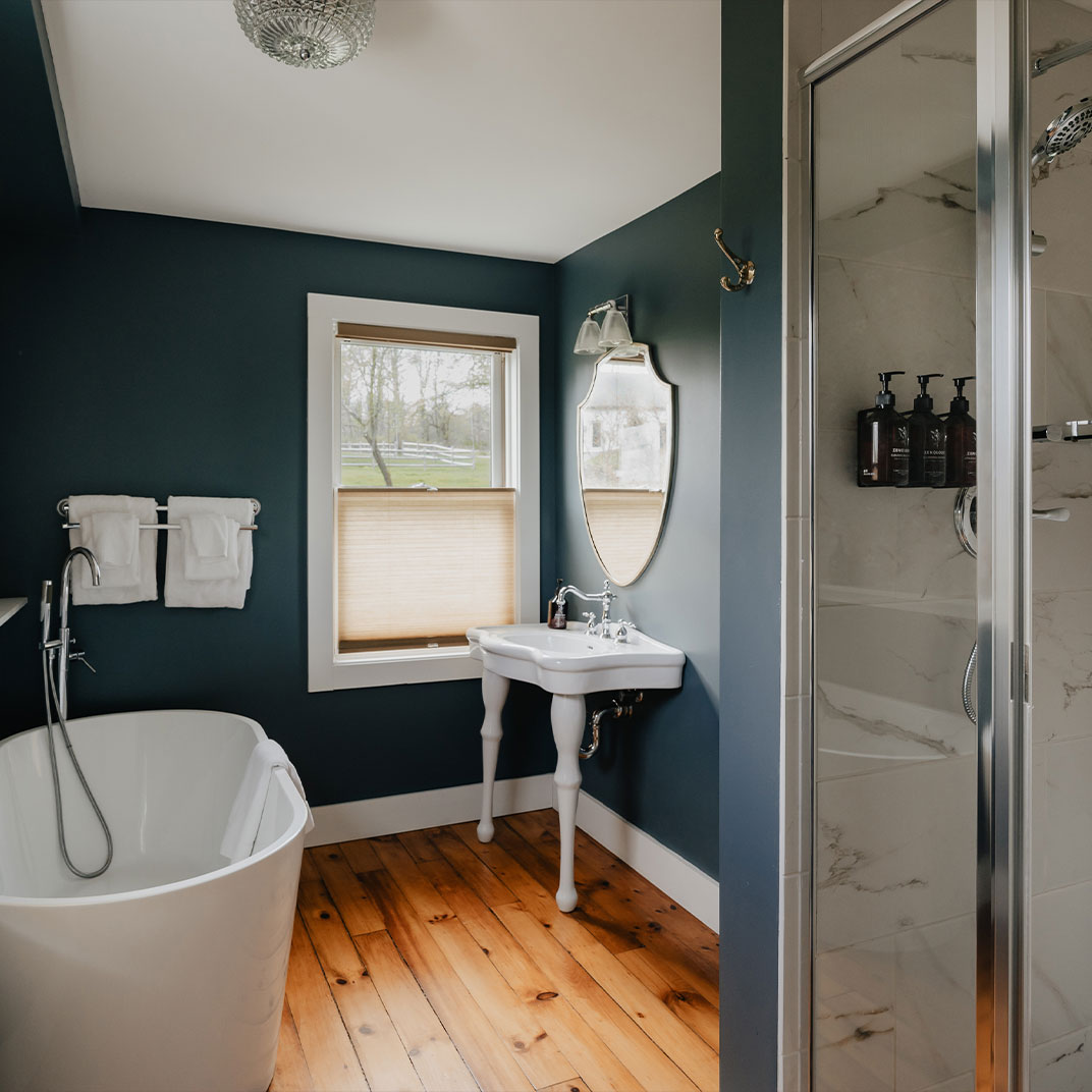 Lake View King with Soaking Bathtub