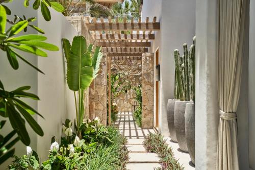 Ocean View Casita Two Queen With Plunge Pool