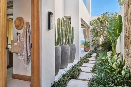 Oceanfront Casita King With Plunge Pool