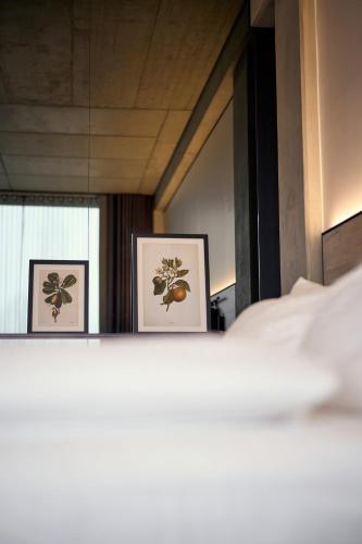 Comfort Double Room City View