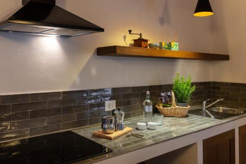 One-Bedroom Apartment (Cicalino 2)