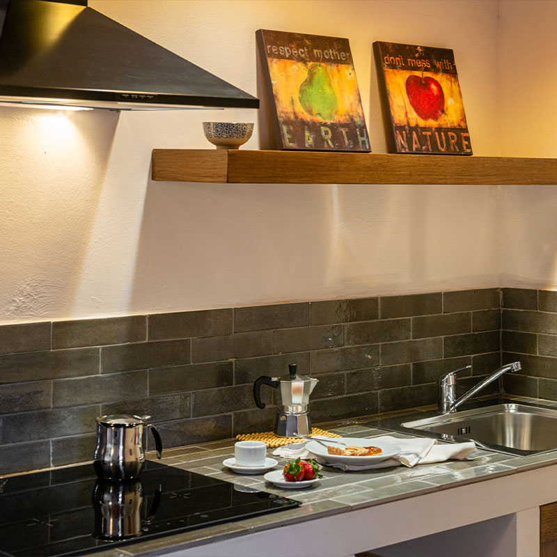 One-Bedroom Apartment (Cicalino 5)