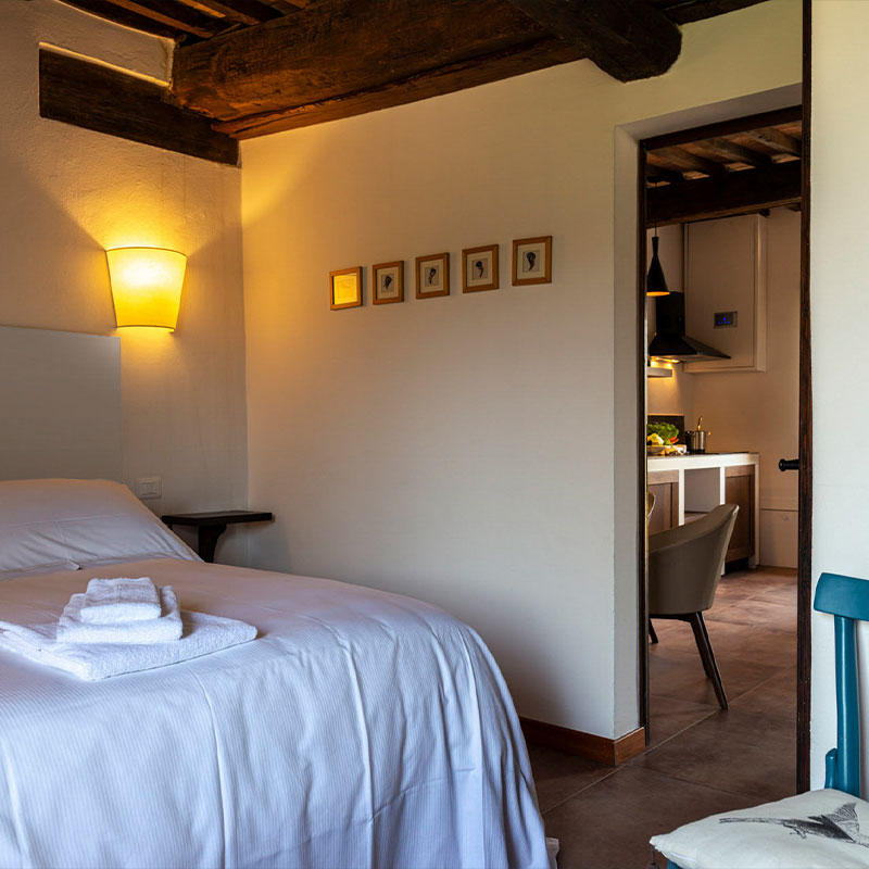 One-Bedroom Apartment (Ceppo 2)
