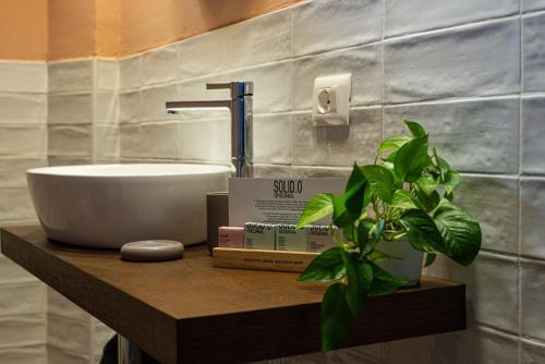 Two-Bedroom Apartment (Ceppo 8)