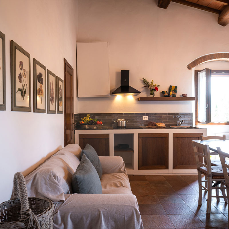 Two-Bedroom Apartment (Podernovo 1)