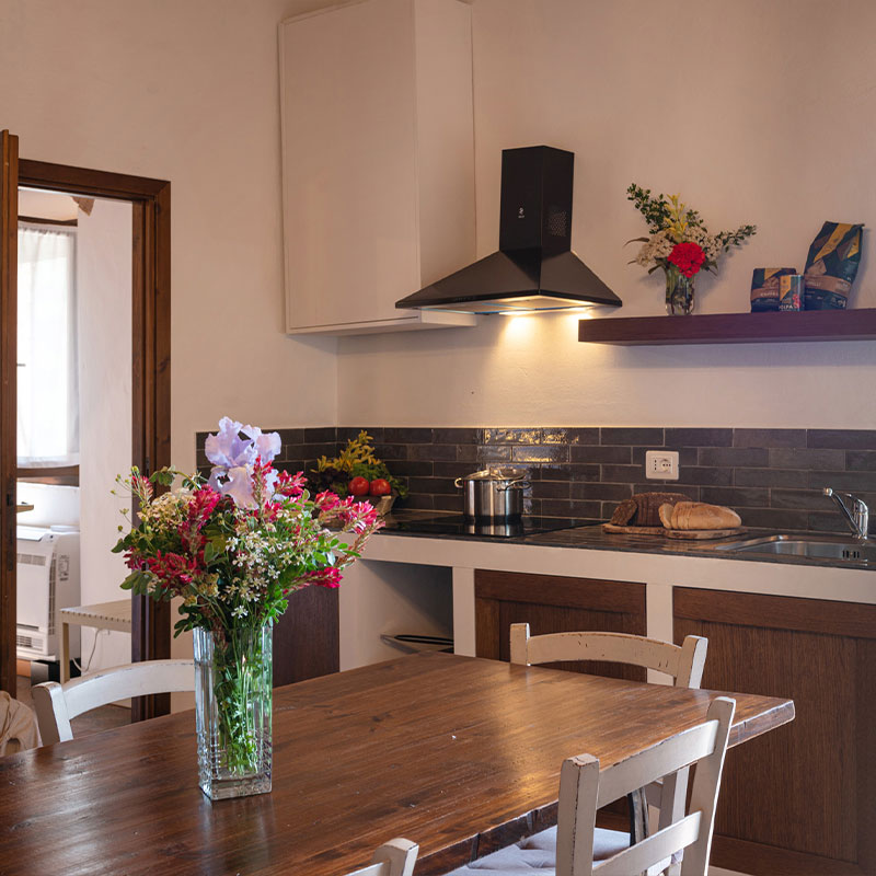 Two-Bedroom Apartment (Podernovo 1)