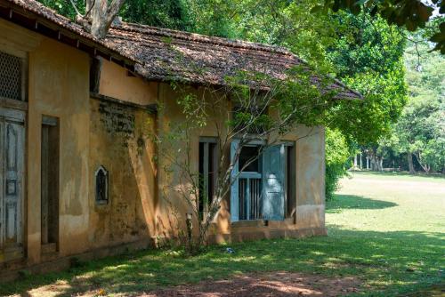 Cinnamon Hill 1