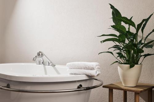 Deluxe Double Room with Bath