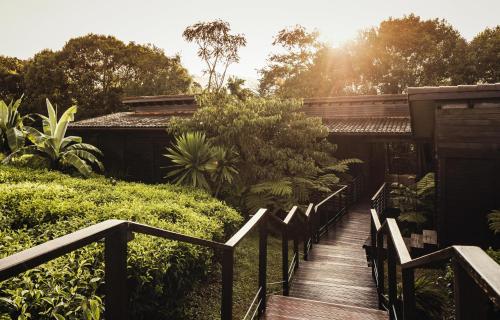 King Canopy Treehouse