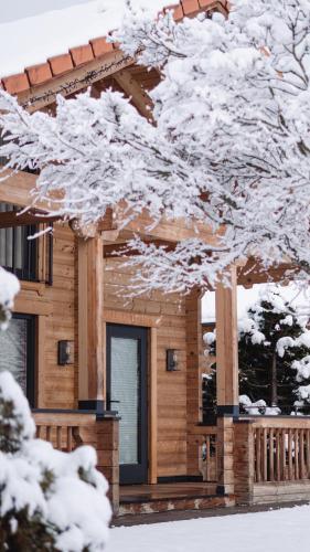 Luxury Chalet