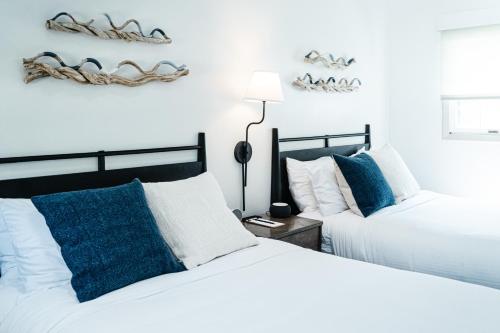 Studio - 2 Full Beds