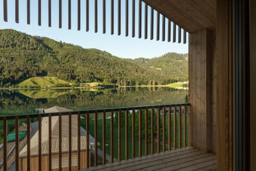 Three Bedroom Apartment