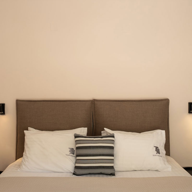 Double/Triple Room with Mountain View